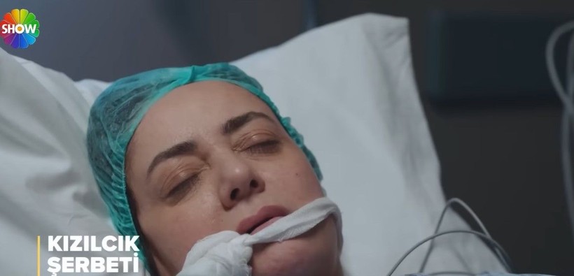 Kızılcık Şerbeti Pembe'si Sibel Taşçıoğlu Ayrılacağını Senaryodan Öğrenince Şaştı Kaldı! Meğer.. - Resim: 5