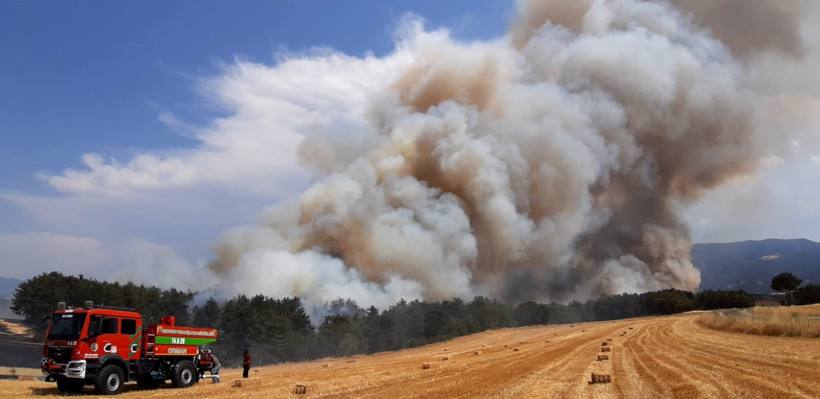 Anız yangını ormana sıçradı! - Resim : 2