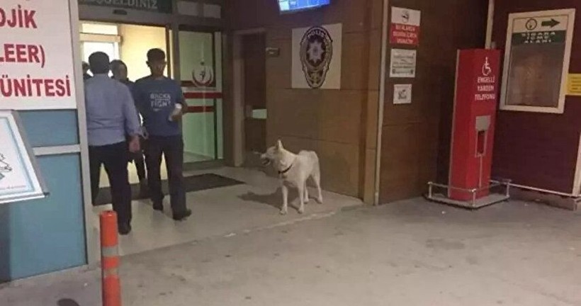 Şikayetler artınca önlem alındı; 81 ile yazı gitti - Resim: 4