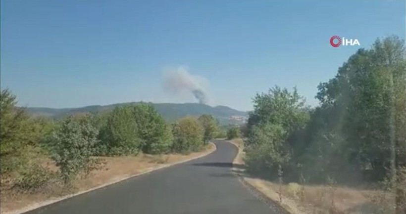 Karabük Saraycık köyü orman yangını - Resim: 1