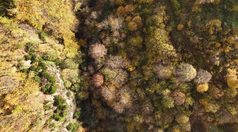 Kocaeli’de sonbahar görsel şölen sunuyor - Resim : 5