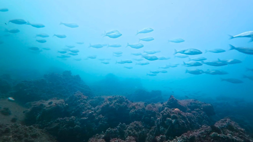 Tahir Büyükakın, "Şu güzelliğe bakar mısınız?" diyerek paylaştı! İşte o görüntüler - Resim : 2
