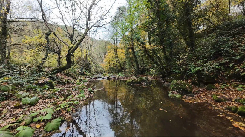 Kocaeli’de sonbahar görsel şölen sunuyor - Resim : 2