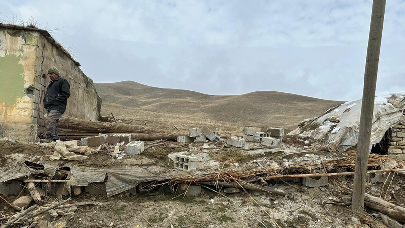 Muş'ta acı olay: Ahır çöktü, onlarca hayvan telef oldu! - Resim : 1