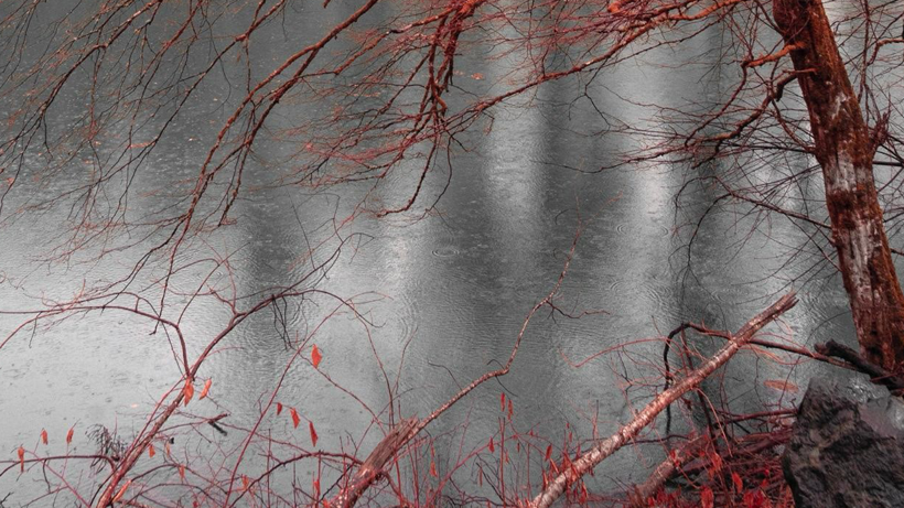 Kızılötesi ışığın doğaüstü sergisi! - Resim: 2