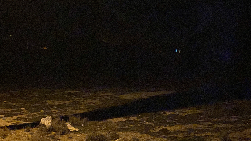 Konya'da acı olay: Onlarca köpeğin saldırısına uğradı! - Resim : 1