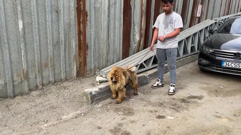 Hurdalık alanda yangın çıktı… Gökyüzü siyaha büründü - Resim : 1