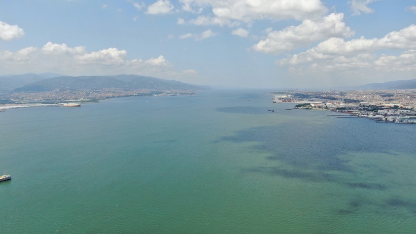 İzmit Körfezi'nde şaşırtan ziyaretçi! Caretta caretta rotayı şaşırdı - Resim : 1