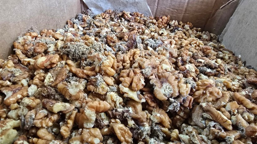 Kocaeli’de de şubesi var… Ünlü baklavacıda 'kurtlanmış ceviz' skandalı! - Resim : 1