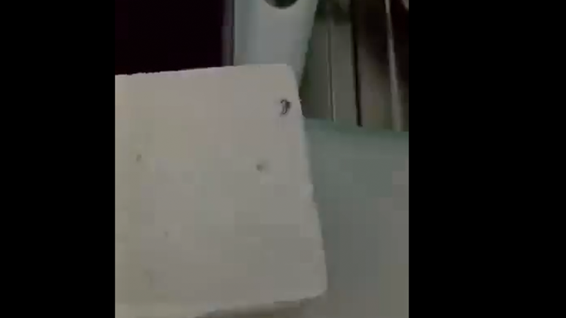 Peynirin içinden metal somun çıktı... BİM'in özrü ise göz yaşarttı! - Resim : 1