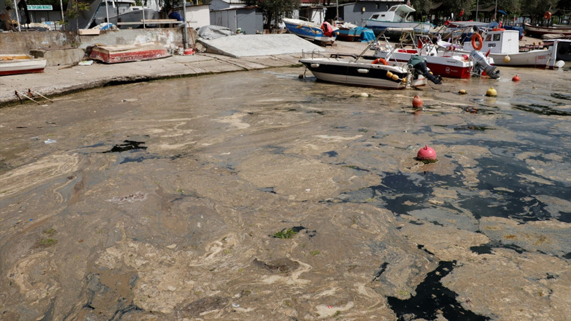 Denizde korkutan görüntü Bu köpükler nereden geldi? - Resim : 1