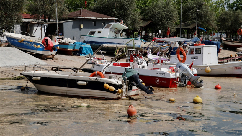 Denizde korkutan görüntü Bu köpükler nereden geldi? - Resim : 2