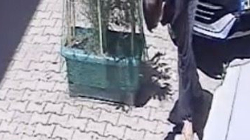 Kocaeli'de dikkat çeken olay: Park halindeki araca yumruklu saldırı! - Resim : 2