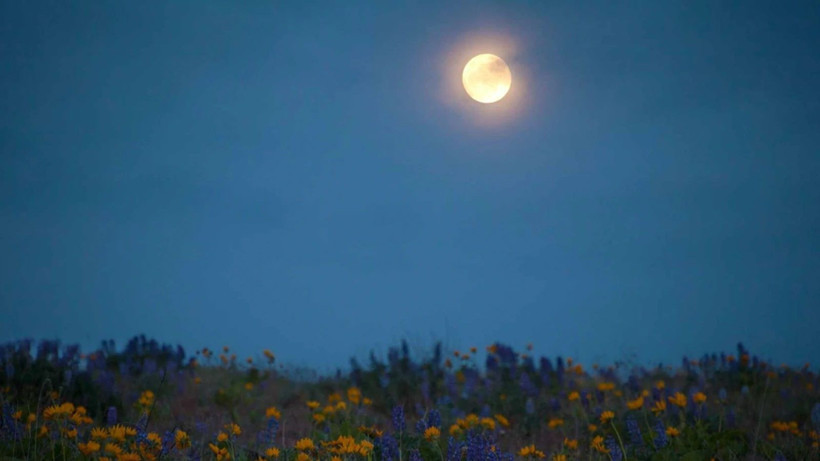 12 Mayıs Akrep Burcunda Dolunay O Burçlara Felaketi Yaşatacak! Mayıs Dolunayı Burçlara Etkileri - Resim: 5