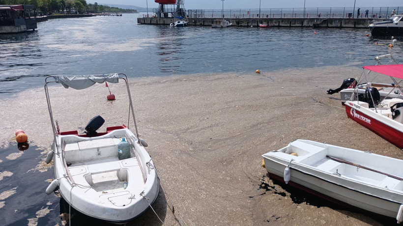 Karamürsel sahili müsilajla kaplandı - Resim: 3