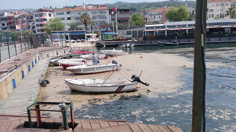 Karamürsel sahili müsilajla kaplandı - Resim: 7