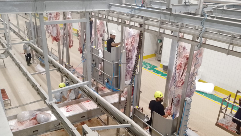 Kocaeli Büyükşehir Belediyesi'nden bayramda modern kesim hizmeti - Resim : 1