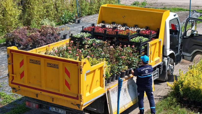 Kocaeli buradan yeşeriyor - Resim : 1