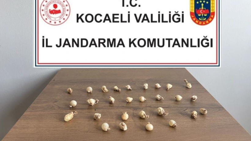 Rahatsızlanınca hastaneye kaldırıldı: Midesinden çıkanlar görenleri şaşırttı! - Resim : 1