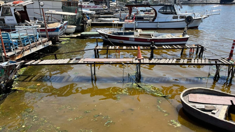 Aytekin Ergül'den İzmit Körfezi açıklaması: Kocaeli belki de Türkiye’nin en iyisi fakat yetmiyor! - Resim : 1
