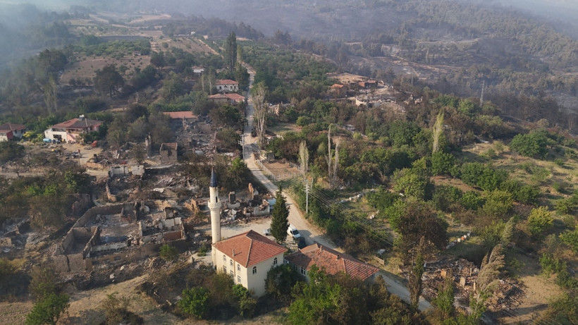 Sakarya'dan sıçrayan orman yangını kül etti! - Resim: 3