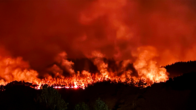 Sakarya'da yürek yakan görüntü: Kent alev alev yandı! - Resim : 2
