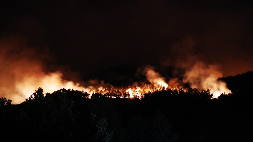 Sakarya'da yürek yakan görüntü: Kent alev alev yandı! - Resim : 1