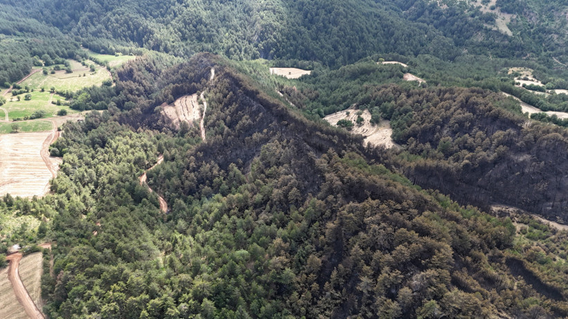 Orman yangınında 25 hektarlık alan küle döndü! Havadan görüntülendi - Resim : 1