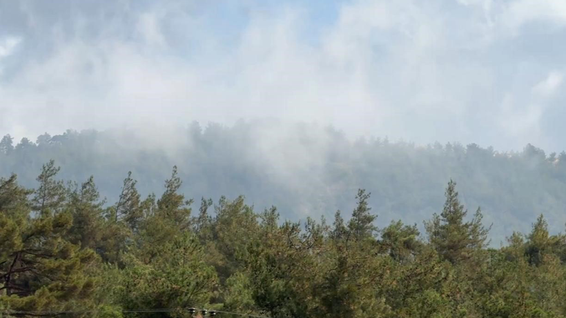 İbrahim Yumaklı: Sakarya'da devam eden yangın büyük oranda kontrol altına alındı - Resim : 2