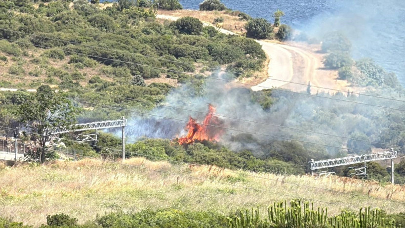 Kocaeli'de makilik alanda korkutan yangın! - Resim : 2