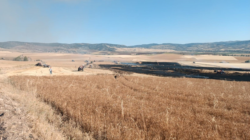 Çıkan yangında 3 bin dekar buğday tarlası zarar gördü - Resim : 2