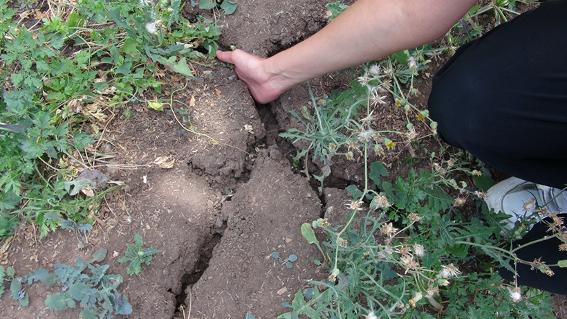 Çiftçiler şaşkın! Geleneksel yöntemler ile su arıyorlar - Resim : 8