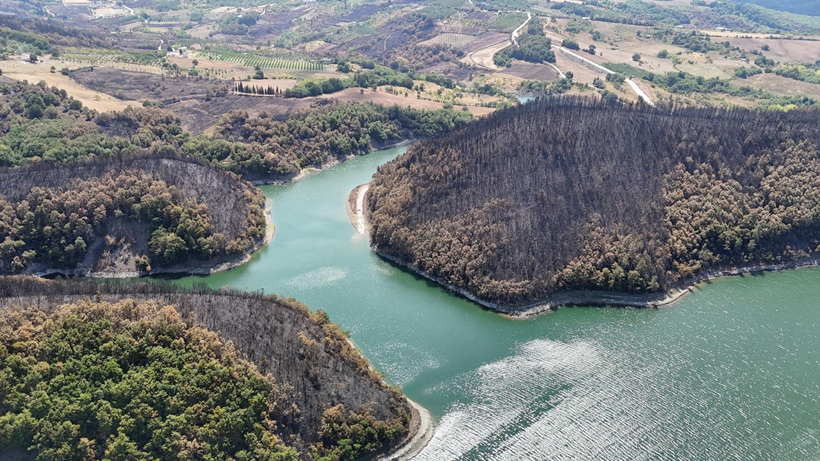 Karamürsel'de acı manzara: Yangının tahribatı gözler önüne serildi! - Resim : 3