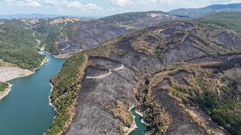 Karamürsel'de acı manzara: Yangının tahribatı gözler önüne serildi! - Resim : 4