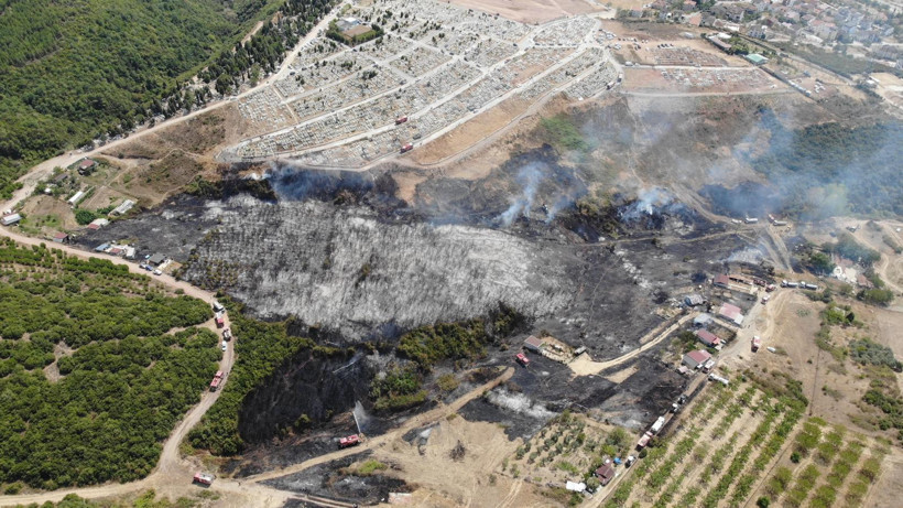 Kocaeli İtfaiyesi’nin kaplumbağaya uzattığı su yürekleri ısıttı - Resim : 3