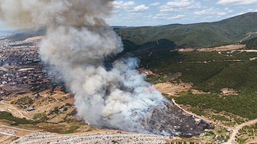 Kocaeli'de ormanlık alan yangını! - Resim : 1
