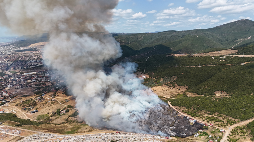 Kocaeli Valiliği'nden orman yangını açıklaması! - Resim : 2