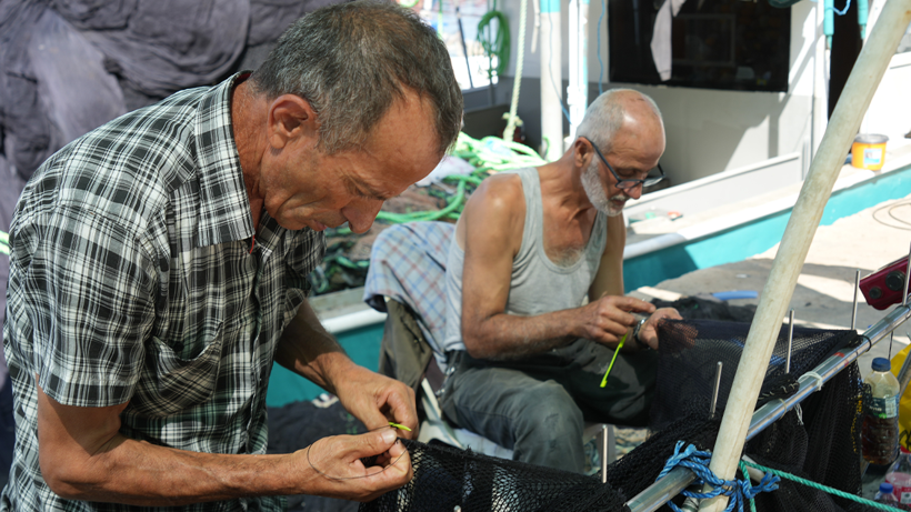 Balıkçılar gün sayıyor: Lüfer senesi gibi görünüyor - Resim : 2
