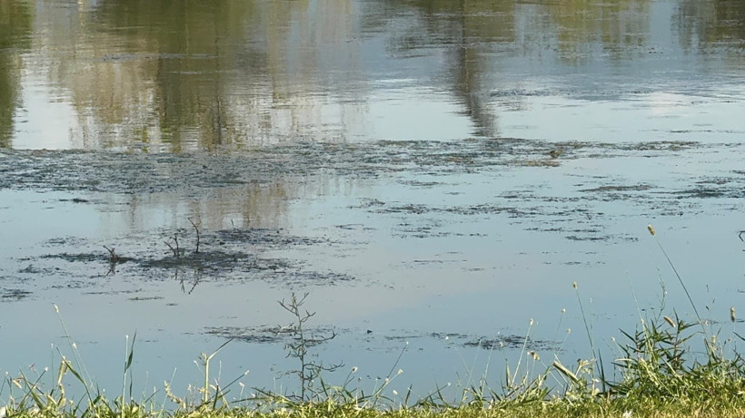 Nokta TV yerinde inceledi! Kocaeli Fuarı gitti İzmit Millet Bahçesi geldi - Resim: 21