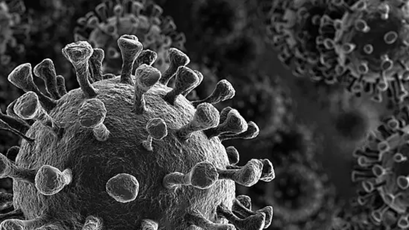 Alerjisi olanlar dikkat! Bugün dışarıya çıkmayın - Resim: 4