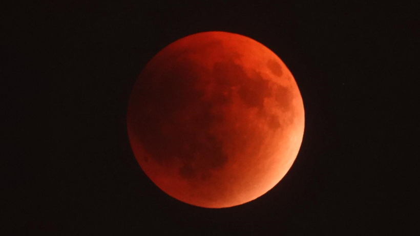 Kocaeli'de görsel şölen! - Resim : 2