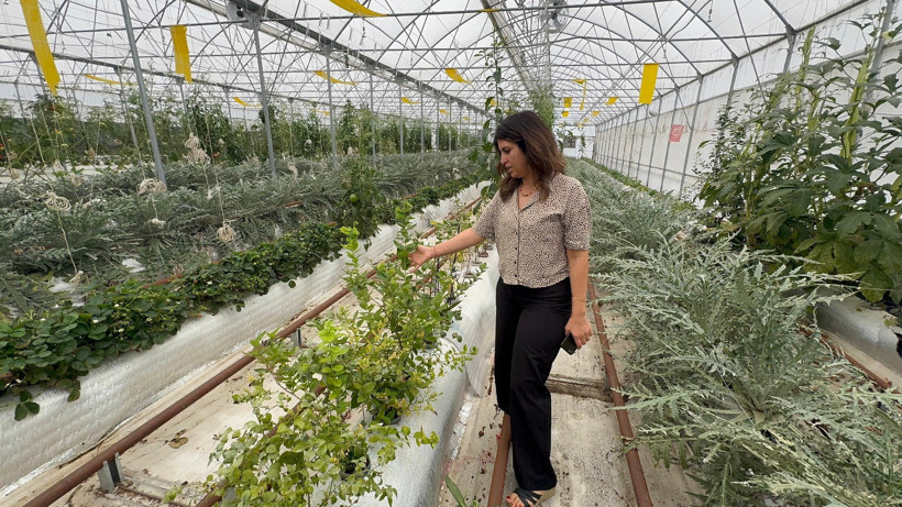 O ilçede tarım devrimi yapıldı, haberiniz var mı? - Resim : 2