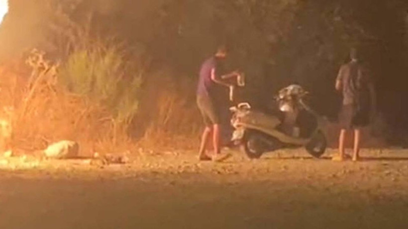 Ormanı yakıp kaçtılar! - Resim: 6