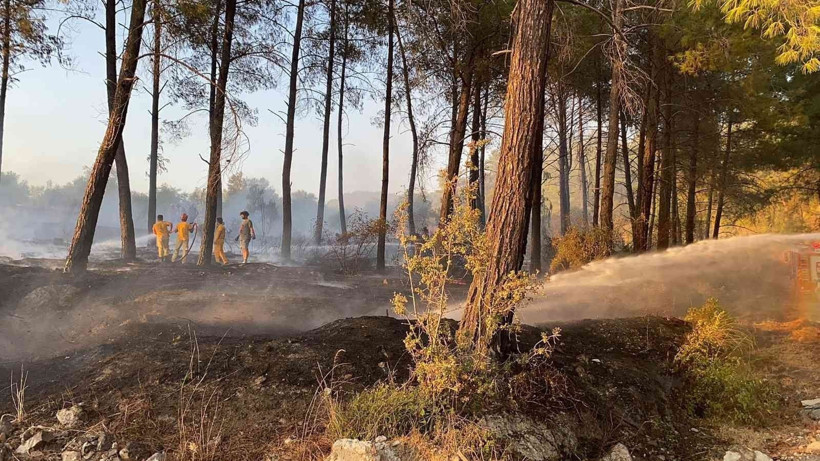 Ormanı yakıp kaçtılar! - Resim: 2