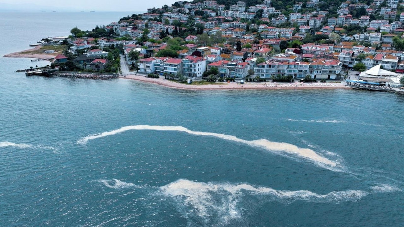 Marmara Denizi kirlenmeye devam ediyor: Metal ve plastik yoğunluğu yükseliyor! - Resim : 3