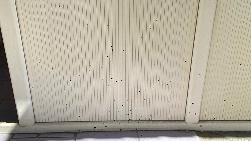 Elazığ’da pompalı tüfek saldırısı! - Resim : 1