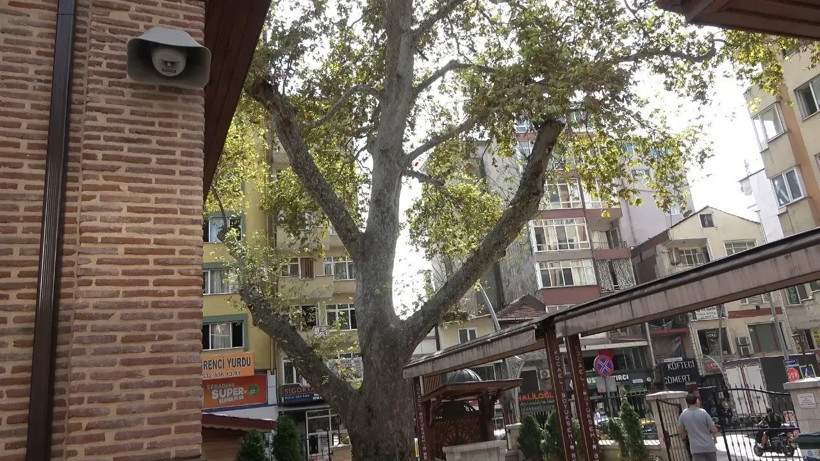 Deprem gördü, iki büyük yangına tanık oldu... Asırlık çınarların gölgesinde tarihi miras! - Resim : 3