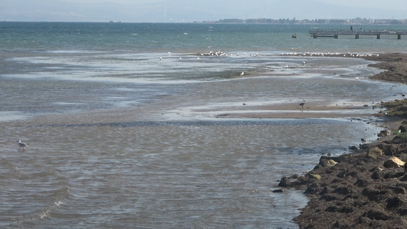 Korkutan görüntü: Deniz suyu 5 metre çekildi - Resim: 7