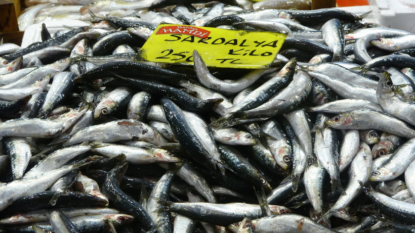 Fiyatlar düştü: Ekim ayında balık tezgahları dolup taşacak! - Resim : 2