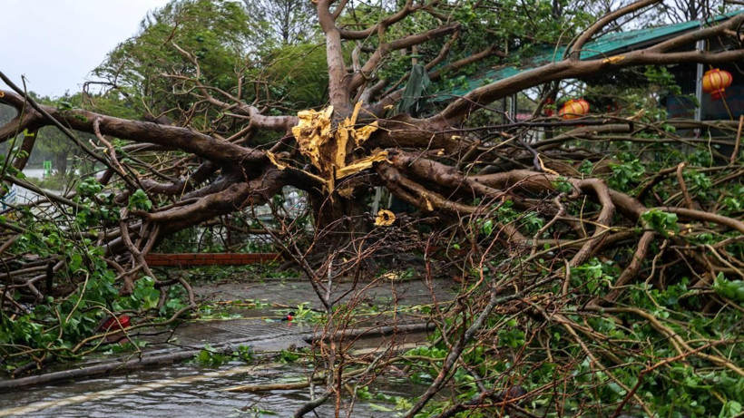 Bualoi Tayfunu can aldı: 51 kişi hayatını kaybetti - Resim: 1